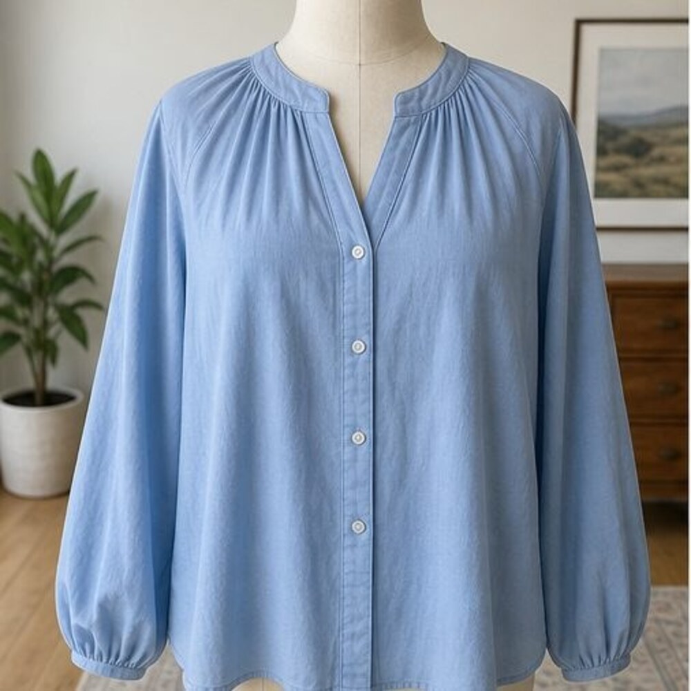 Blue Tunic Blouse